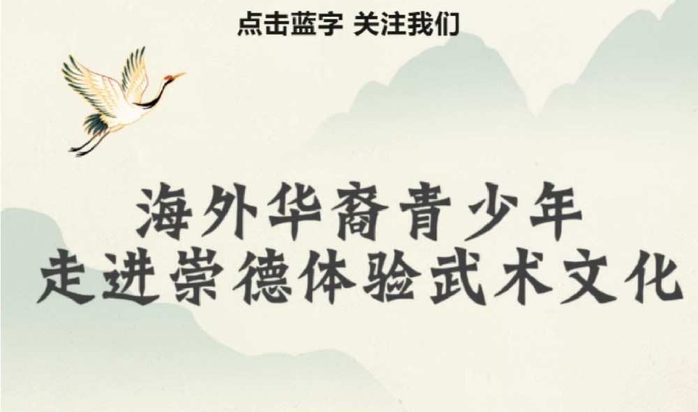 海外华裔青少年走进崇德体验武术文化